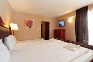 Отель Hotel Panorama Паничиште Двухместный номер Делюкс с 1 кроватью и дополнительной кроватью-2